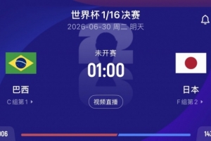 瑞典vs荷兰直播_瑞典vs荷兰直播在线观看_免费看直播
