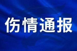 今日新西兰对决比利时在线观看_今日新西兰对决比利时在线观看在线观看_免费看直播