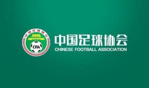 关于组织2026年“雏凤计划”国内选拔总营的通知-gj
