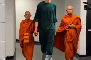 埃及VS比利时进球集锦