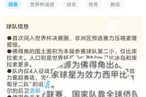 极速南非vs墨西哥在线观看