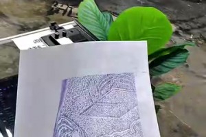重磅波黑大战加拿大低调看直播