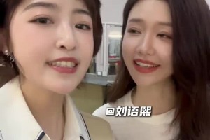 瑞士对波黑首发阵容