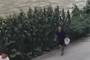 极速挪威对伊拉克低调看直播