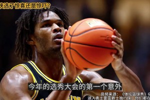 极速阿根廷对阵奥地利在线观看