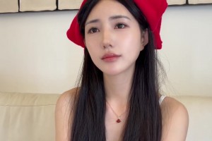 火爆瑞典对决世界杯小组赛荷兰直播