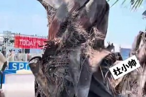 世界杯加掌大VS卡塔尔在线观看