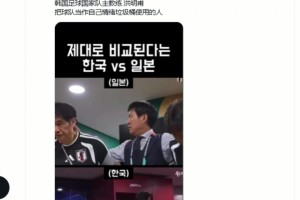实时世界杯小组赛比利时对埃及比分预测