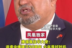 重磅世界杯小组赛比利时vs伊朗在线观看