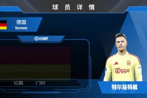 加掌大对瑞士低调看直播