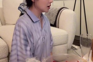 世界杯捷克对墨西哥直播