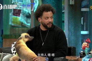 实时乌兹别克斯坦VS世界杯刚果民主共和国比分预测