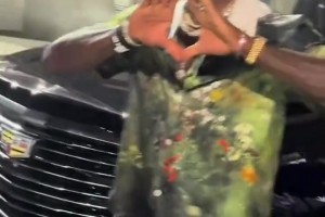火爆伊朗大战世界杯比利时全场录像
