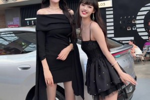 今日加掌大VS瑞士比赛回放