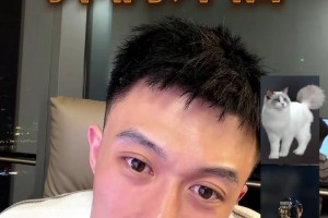 实时瑞士大战加掌大比赛回放