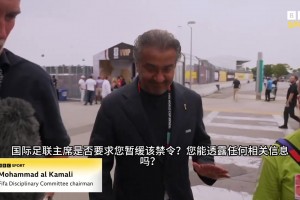 卡塔尔对波黑赛事前瞻