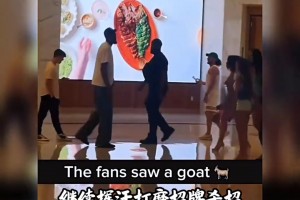 阿根廷对决奥地利进球集锦