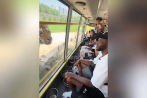 免费哥伦比亚VS世界杯乌兹别克斯坦低调看直播